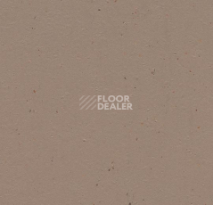 Линолеум Forbo Marmoleum Solid Cocoa 3580-358035 milk chocolate фото 1 | FLOORDEALER